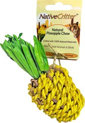 Exotic Nutrition Pineapple Chew Small Pet Chew Toy