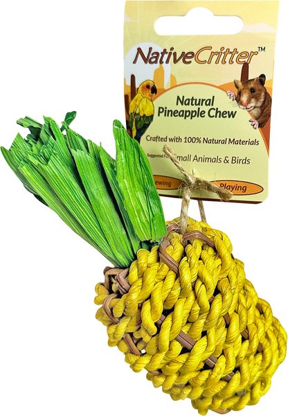 Show full view: Exotic Nutrition Pineapple Chew Small Pet Chew Toy slide 1 of 3