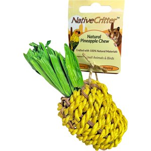 Exotic Nutrition Pineapple Chew Small Pet Chew Toy
