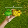 Show in main carousel: Exotic Nutrition Pineapple Chew Small Pet Chew Toy slide 2 of 3