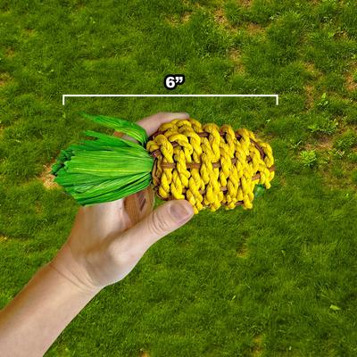 Show full view: Exotic Nutrition Pineapple Chew Small Pet Chew Toy slide 2 of 3