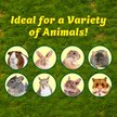 Show in main carousel: Exotic Nutrition Pineapple Chew Small Pet Chew Toy slide 3 of 3