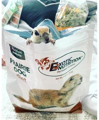 Show full view: Exotic Nutrition Prairie Dog Food, 2.5-lb bag slide 2 of 2