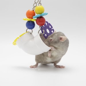 Exotic Nutrition PVC Forager Small Animal Toy