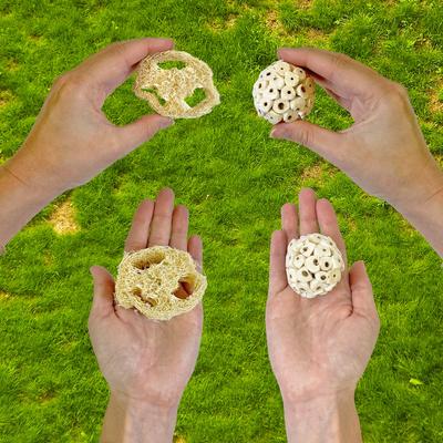 Show full view: Exotic Nutrition Signature Chew Value Pack Small Pet Chew Toy slide 5 of 6