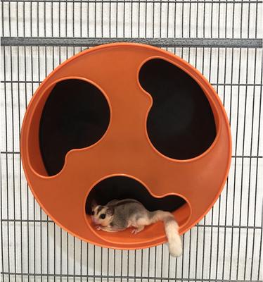 Show full view: Exotic Nutrition Silent Runner Small Animal Exercise Wheel, Orange, Regular slide 4 of 10