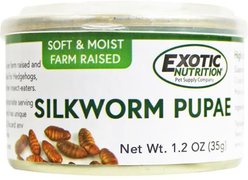Exotic Nutrition Silkworm Pupae Hedgehog Treats, 1.2-oz can