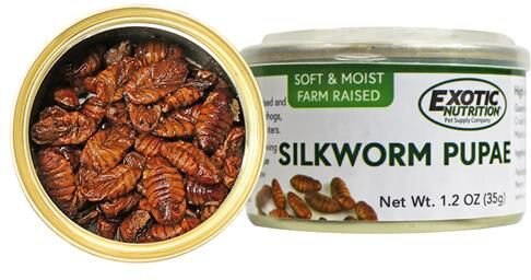 Exotic Nutrition Silkworm Pupae Hedgehog Treats, 1.2-oz can