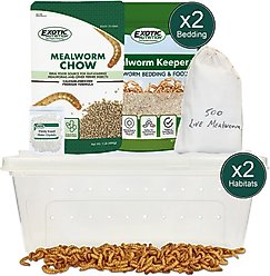 Exotic Nutrition Small Animal Mealworm Breeder Kit, 2 count