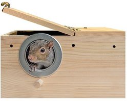 Exotic Nutrition Small Animal Nest Box, Medium