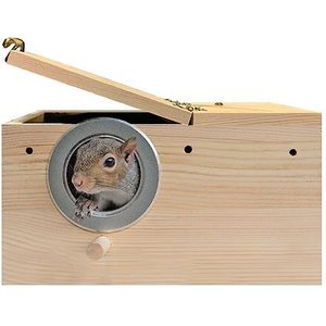 Exotic Nutrition Small Animal Nest Box, Medium