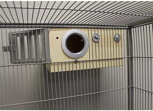 Show full view: Exotic Nutrition Small Animal Nest Box, Medium slide 5 of 7