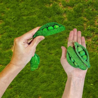 Show full view: Exotic Nutrition Snow Pea Chews Small Pet Chew Toy slide 2 of 3