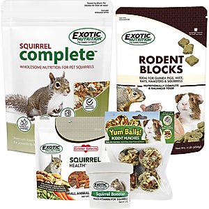Exotic Nutrition Squirrel Food Starter Kit