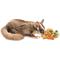 Show in main carousel: Exotic Nutrition Sugar Glider Variety Pack Small Pet Treats slide 6 of 7