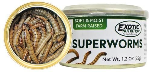 Exotic Nutrition Wax Worms Canned Hedgehog Treats, 1.2-oz can