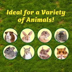 Exotic Nutrition Timothy Bars Small Pet Chew Toy slide 2 of 7