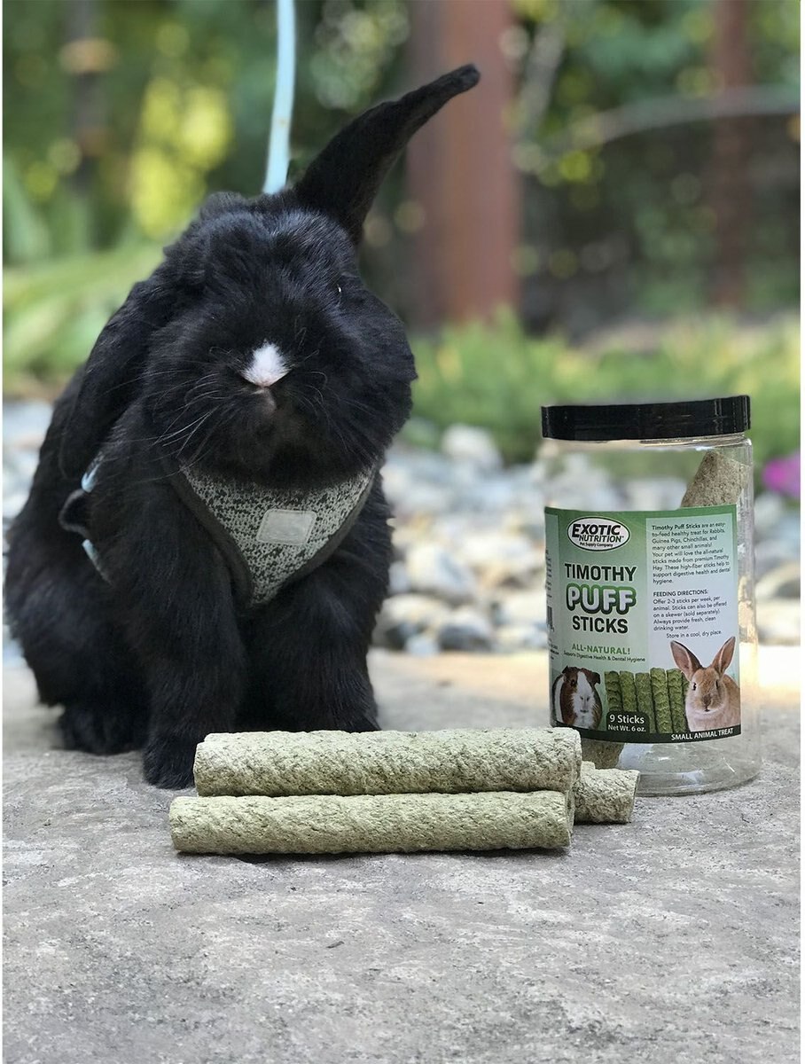 EXOTIC NUTRITION Timothy Puff Sticks Rabbit Treats, 9 count - Chewy.com