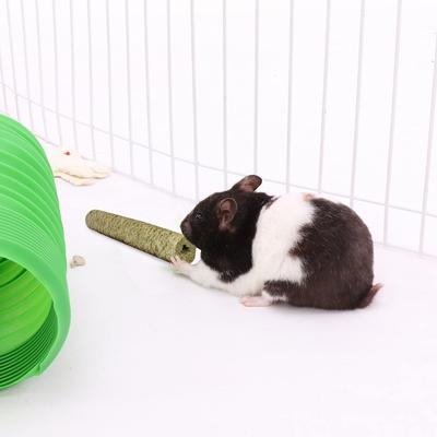 Show full view: Exotic Nutrition Timothy Puff Sticks Rabbit Treats, 9 count slide 7 of 9