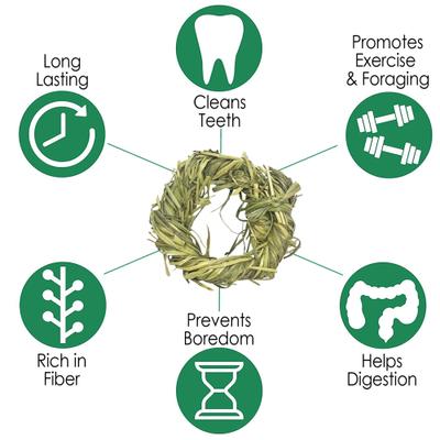 Show full view: Exotic Nutrition Timothy Rings Small Pet Chew Toy slide 7 of 9