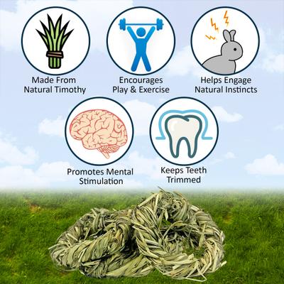 Show full view: Exotic Nutrition Timothy Rings Small Pet Chew Toy slide 5 of 9