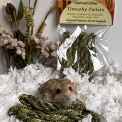 Show full view: Exotic Nutrition Timothy Twists Small Pet Chew Toy slide 8 of 8