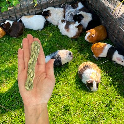 Show full view: Exotic Nutrition Timothy Twists Small Pet Chew Toy slide 7 of 8