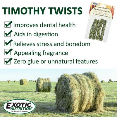 Show full view: Exotic Nutrition Timothy Twists Small Pet Chew Toy slide 5 of 8