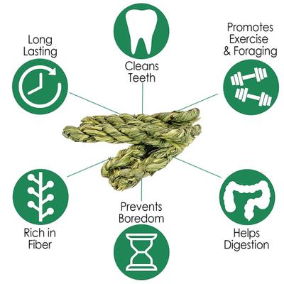 Show full view: Exotic Nutrition Timothy Twists Small Pet Chew Toy slide 4 of 8