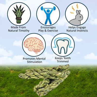 Show full view: Exotic Nutrition Timothy Twists Small Pet Chew Toy slide 3 of 8