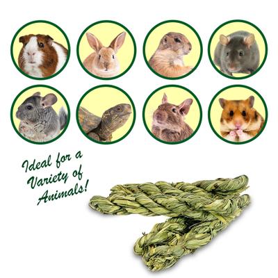 Show full view: Exotic Nutrition Timothy Twists Small Pet Chew Toy slide 2 of 8