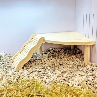 Show full view: Exotic Nutrition Wave Ladder Small Pet Toy, Large slide 4 of 8