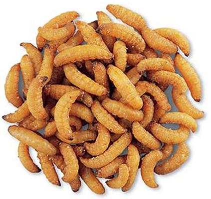 Show full view: Exotic Nutrition Wax Snax Small Animal Treats, 1-oz bag slide 3 of 4