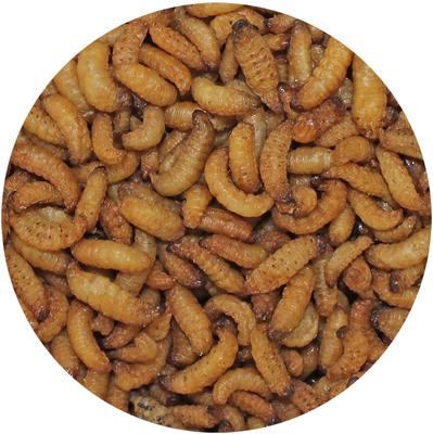 Show full view: Exotic Nutrition Wax Snax Small Animal Treats, 1-oz bag slide 4 of 4