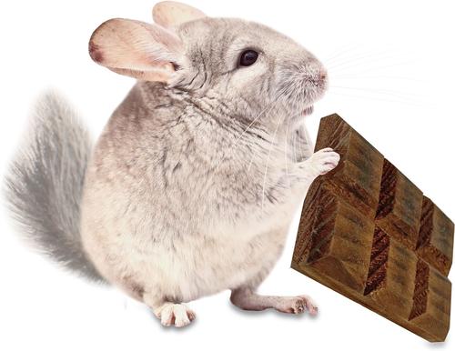 Show full view: Exotic Nutrition Willow Crunch Bar Small Pet Chew Toy, 3 count slide 6 of 8