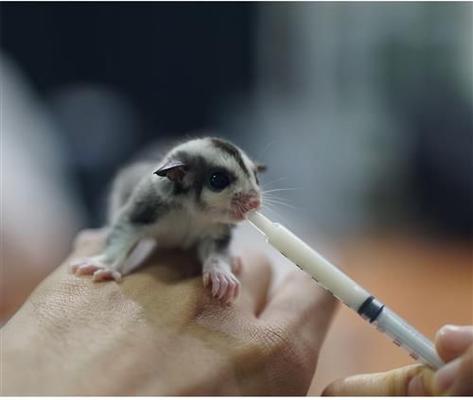 Show full view: Exotic Nutrition Wonder Nipple & Syringe Set, Basic slide 6 of 10