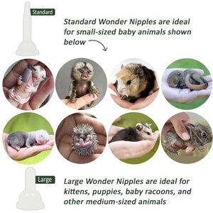 Exotic Nutrition Wonder Nipple & Syringe Set, Expanded