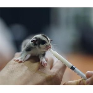 Exotic Nutrition Wonder Nipple & Syringe Set, Expanded
