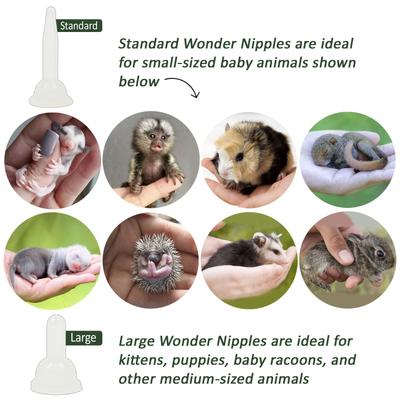 Show full view: Exotic Nutrition Wonder Nipples Small-Pet Feeder, 6-pack, Large slide 3 of 6