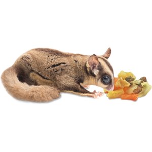 Exotic Nutrition ZooPro Garden Fresh Re-Hydrate Small Pet Treats, 10-oz bag
