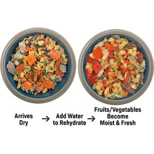 Exotic Nutrition ZooPro Garden Fresh Re-Hydrate Small Pet Treats, 10-oz bag