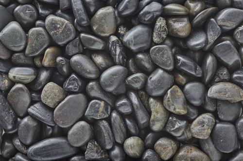 Show full view: Exotic Pebbles Polished Black Reptile & Terrarium Gravel, 20-lb bag slide 2 of 3