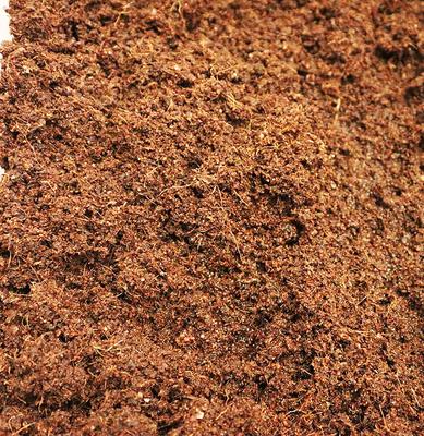 Show full view: Exoticare Wormiculture Coconut Reptile Substrate, 2-lb bag slide 3 of 4