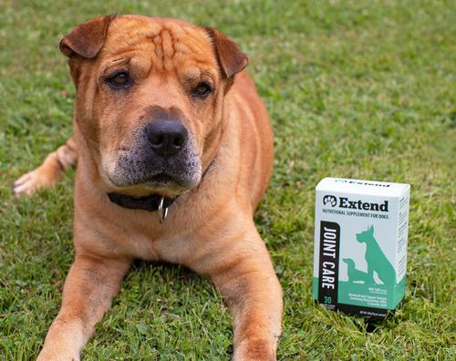 Show full view: Extend Joint Care Nutritional Dog Supplements, 30 count slide 7 of 9