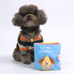 EYS Birthday Adventure Book Crinkle, Hide & Seek Squeaky Treat Dog Plush Toy, Blue