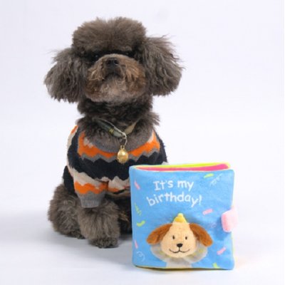 EYS EYS Birthday Adventure Book Crinkle, Hide & Seek Squeaky Treat Dog Plush Toy, Blue