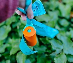 EYS Dog Poop Bag Dispenser & Flashlight slide 2 of 7