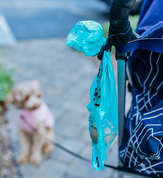 Show full view: EYS Dog Poop Bag Holder slide 4 of 6