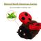Show in main carousel: EYS GiGwi Dance & Chirp Ladybug Catnip Infused Motion-Activated Cat Toy, Brown slide 3 of 6