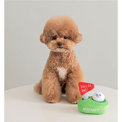 EYS EYS Golf Hole In One Dog Plush Toy, Green